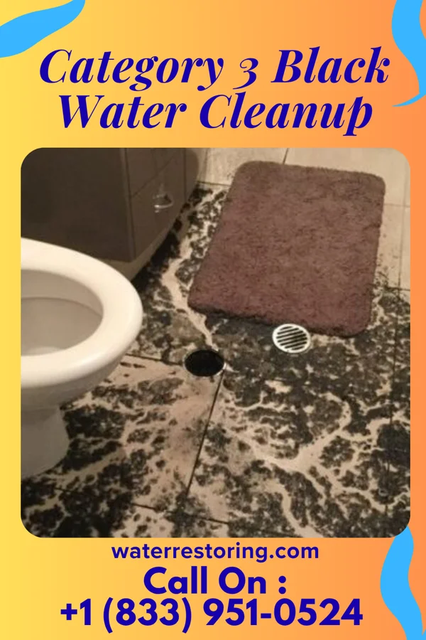 Category 3 Black Water Cleanup in Liberty, SC