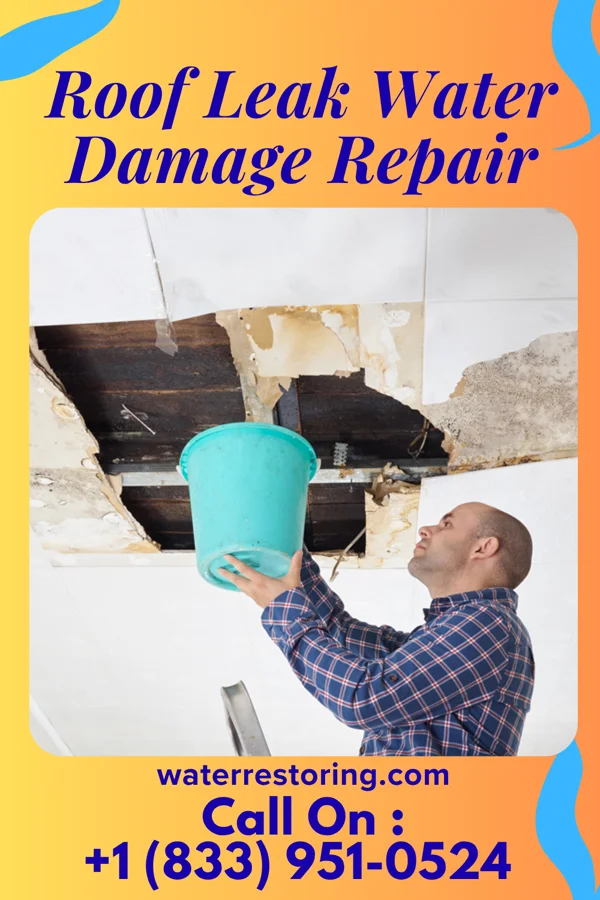 Roof Leak Water Damage Repair in Liberty, SC