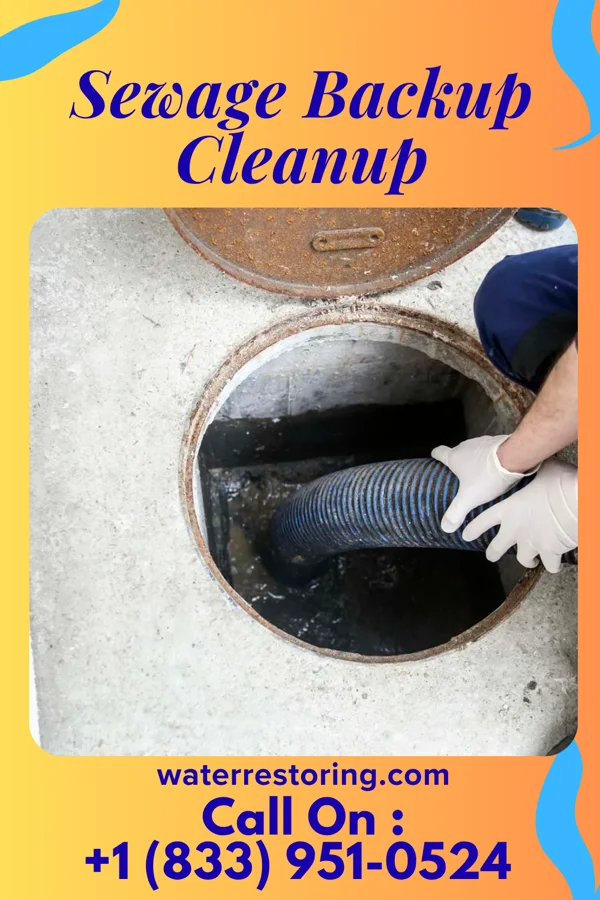 Sewage Backup Cleanup in Liberty, SC